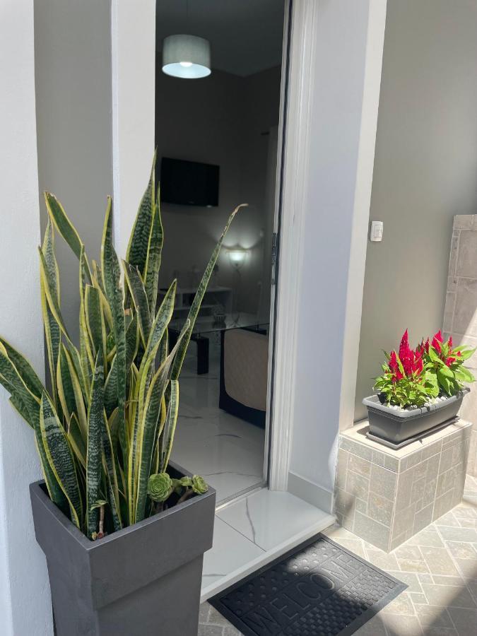 Aiginetan Apartments Αίγινα Εξωτερικό φωτογραφία